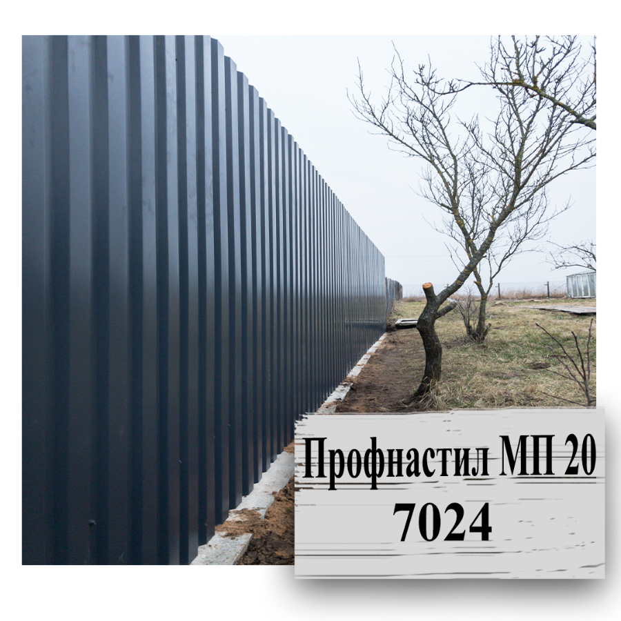 Профнастил рал 7024 забор. Профнастил с-21 ral 3003. Профнастил с20 рал 7024. 45 мм графитовый серый ral 7024. Ral 7024 профнастил забор.